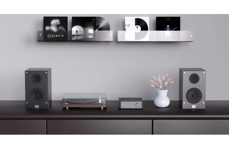 Wiim Amp Pro