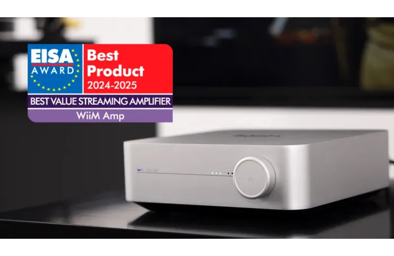Wiim Amp Silver