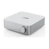 Wiim Amp Pro Silver