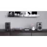 Wiim Amp Pro Silver