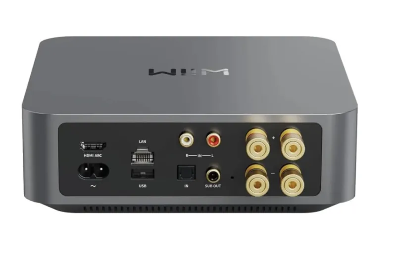 Wiim Amp