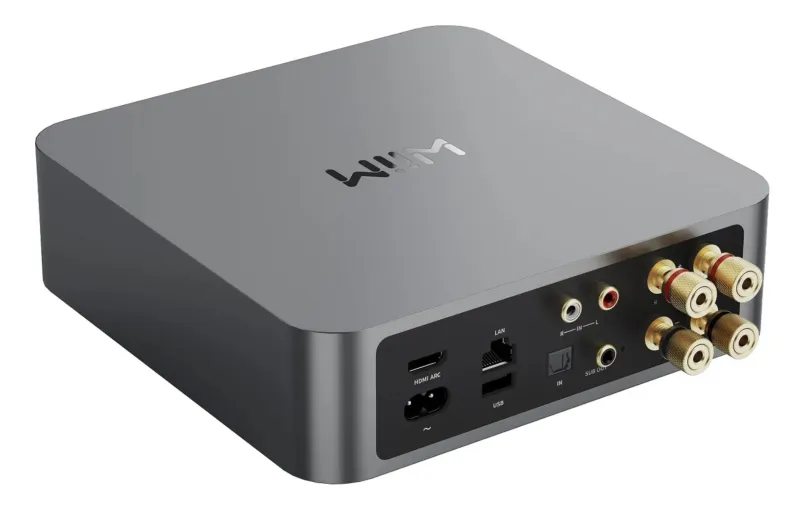 Wiim Amp