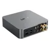 Wiim Amp