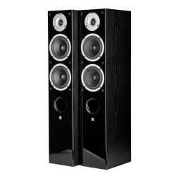 Wilson Raptor 5 Ηχείο Δαπέδου Μαύρο