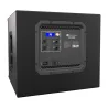 ELX200-12SP Active Subwoofer - Black