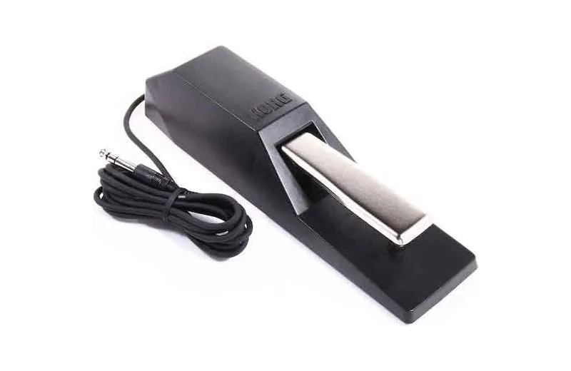 DS-1H