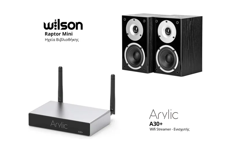 Wilson Raptor Mini + Arylic A30+ Bundle Μαύρο