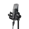 AKG C114 Condenser Microphone