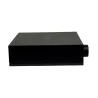 Arylic LP20 Wireless Music Streamer