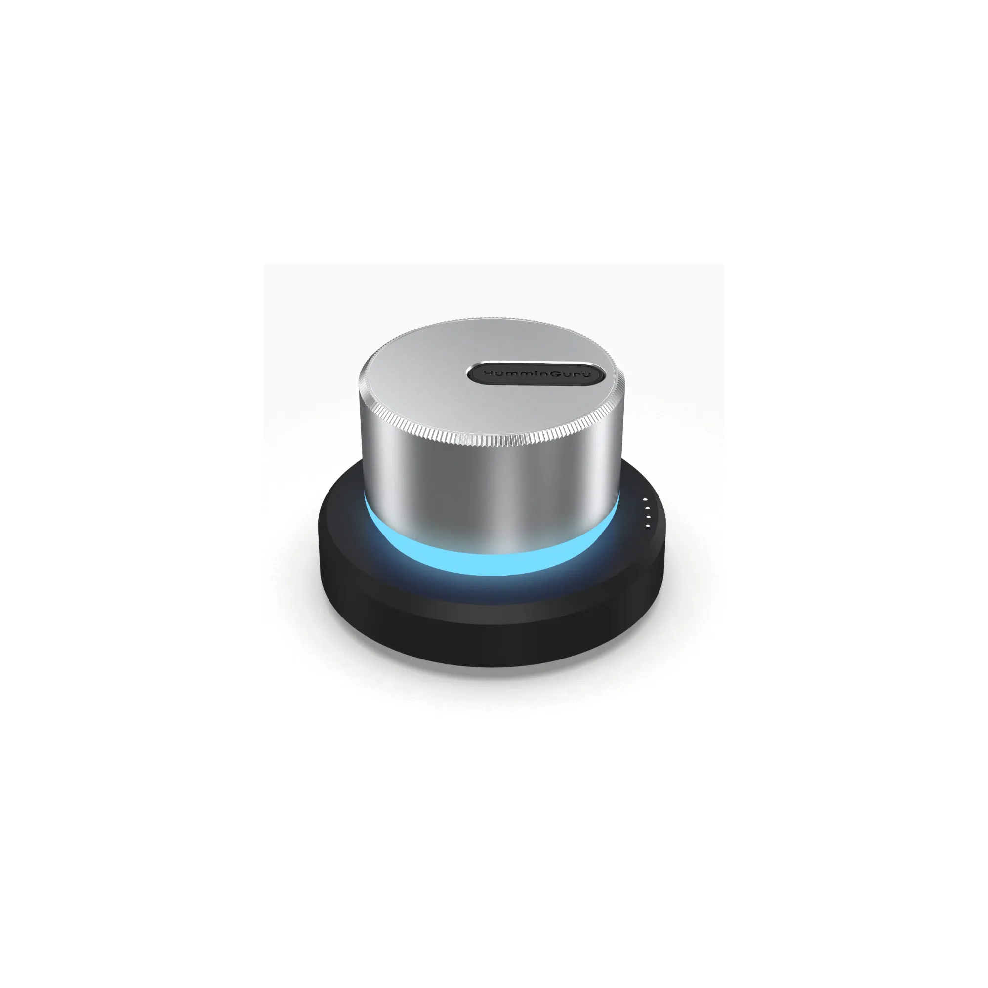 HumminGuru LUMI Record Stabilizer