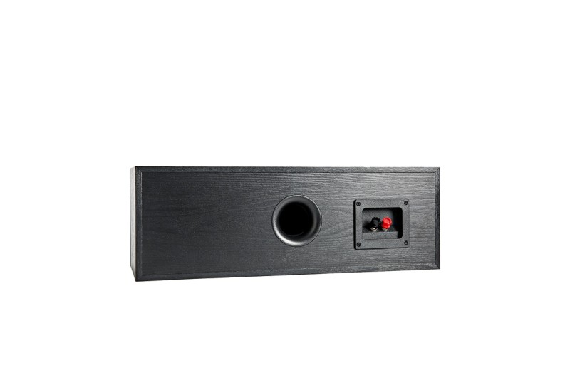 Polk Audio T30