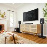 Polk Audio MXT-35 Black