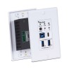 Muxlab USB-C 3.2 Gen1 4-Port WP Extender Kit, 100m 500535