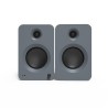 Kanto Audio Ren Matte Grey