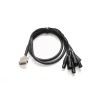 Warm Audio Premier Db25- XLRm-6 (18 Meters) Db25 - XLR-Male