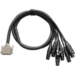 Warm Audio Premier Db25- XLRf-20 (6 Meters) Db25 - XLR-Female