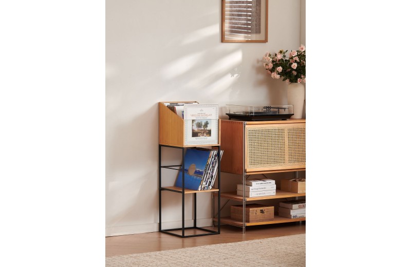 NorStone Vinyl LP Stand