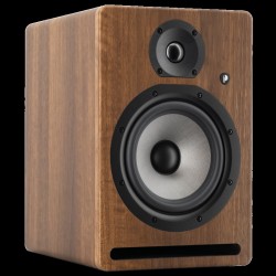 Prodipe Pro7 V4 Walnut Wood