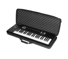 Bags / Covers for Keyboards