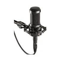 Large Diaphragm Microphones