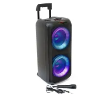 Karaoke Speakers